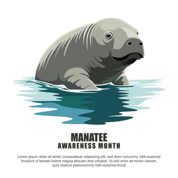 Manatee Awareness Month background. vector