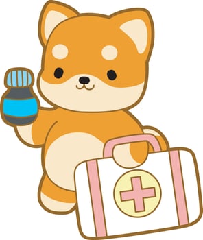 Shiba Inu bring a medicine and first aid kit. Cute puppy kawaii dog lovely animal icon. Fluffy Shiba Inu pet stickers. Happy doggy activities illustrations. vector