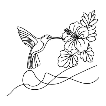 Hummingbird and hibiscus coloring page vector