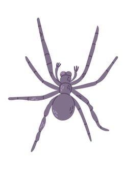 Hand drawn spider in flat style. Scary insect isolated on white background. Cute design for Halloween. Good for stickers, decoration vector