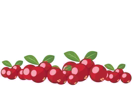 Berry Border Design vector