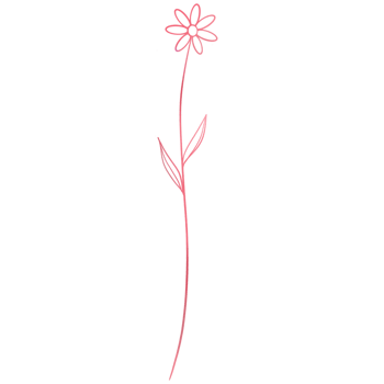 Simple pink flower with a stem on a transparent background png