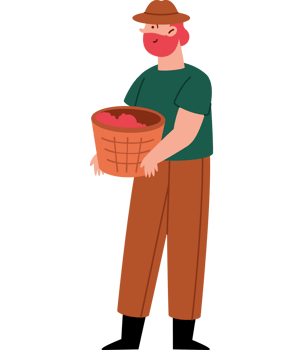 coffee harvester with basket collecting berries png