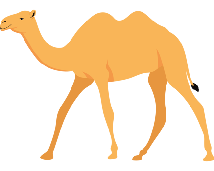 camel animal design png
