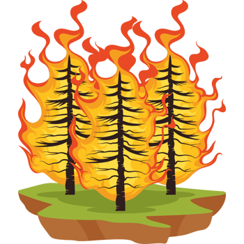 forest fires tress burning png