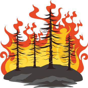forest fires deforestation png