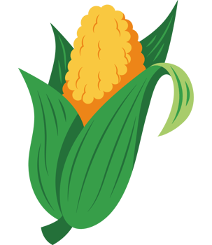 festa junina corn png