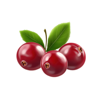 cranberries with leaves on png