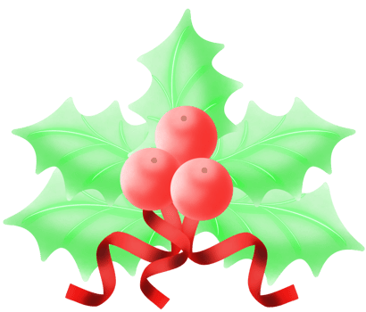 Mistletoe christmas clipart png