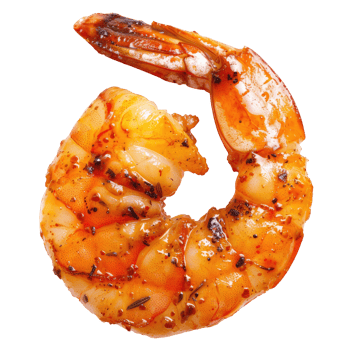 One Grilled Shrimp png
