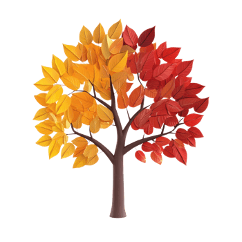autumn tree with leaves on transparent background png