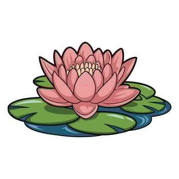 Pink Lotus Blossom Floating on Tranquil Lily Pads Illustration vector