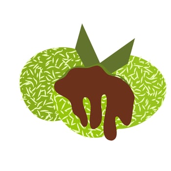 Klepon indonesian food vector