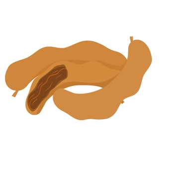 A tamarind herb vector