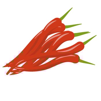 Red chili papper vector