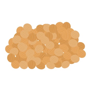 Coriander seeds herb vector