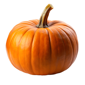 Pumpkin isolate on transparency background png