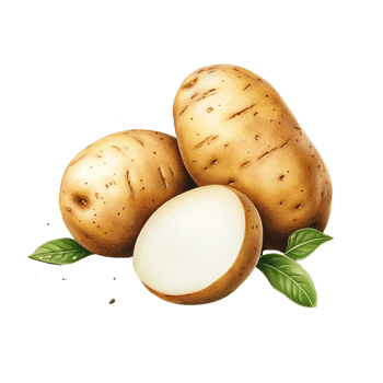 Potatoes with leaves on isolate transparent background png