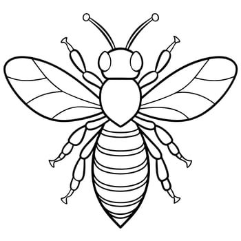 bee line art , white background, illustration line art vector