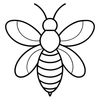 bee, illustration line art vector