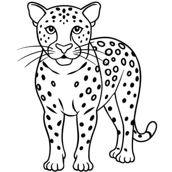 leopard, illustration line art vector