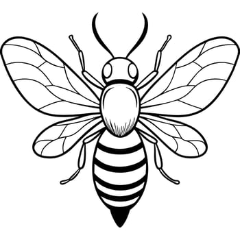 flying bee, silhouette, white background, illustration line art vector