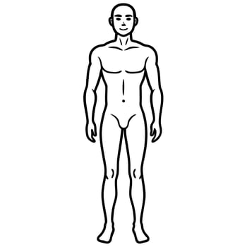 hand drawn human body outline illustration, illustration line art vector