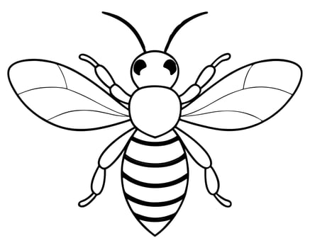 bee, illustration line art vector
