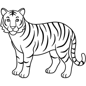 tiger isolated on white background, illustration line art vector