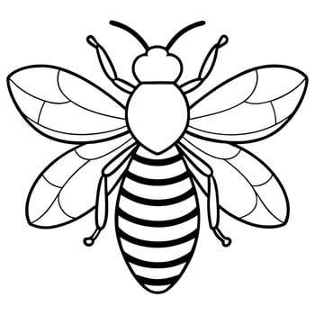 bee, illustration line art vector
