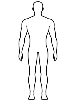 full body chart back, illustration line art vector