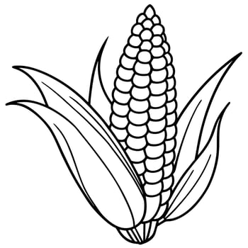 corn cobs, illustration line art vector
