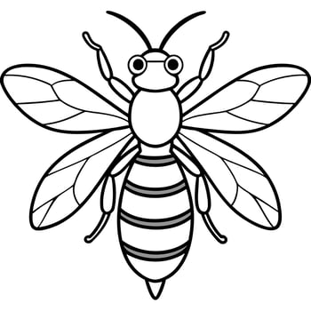 bee white background, illustration line art vector