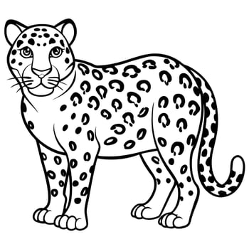 jaguar full body, illustration line art vector