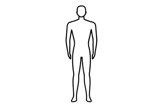 draw a standing mannequin, illustration line art vector