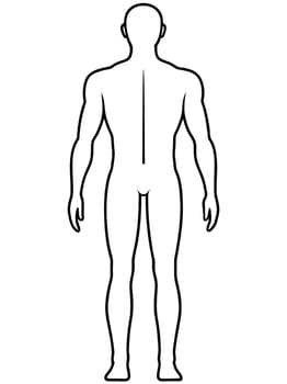 full body chart front and back, illustration line art vector