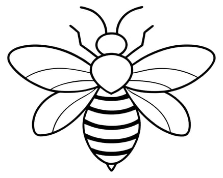bee, illustration line art vector