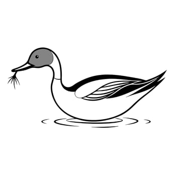 A black and white drawing of a duck vector
