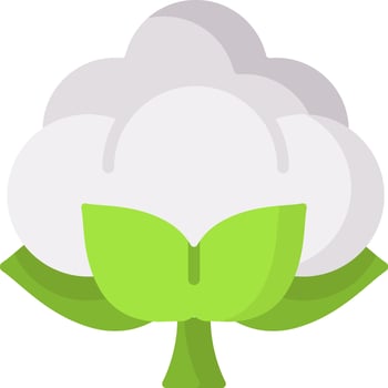 Cotton plant icon vector