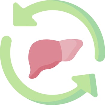 Liver health, liver disease, liver health, liver disease, liver health, liver disease, vector