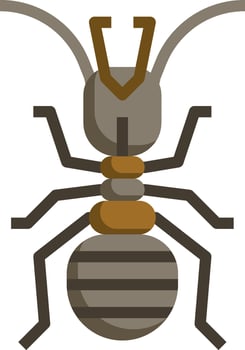 An insect with a long antenna and a long tail vector
