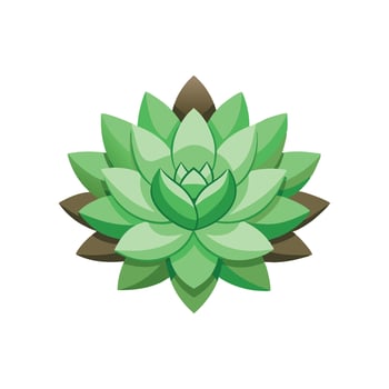 Sedum flower isolated flat illustration on white background. vector