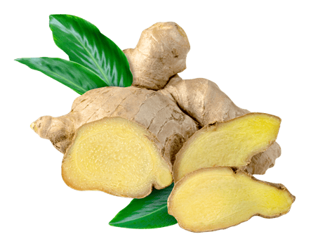 fresh ginger root and leaves isolated png