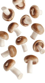 A delightful arrangement of fresh brown mushrooms png