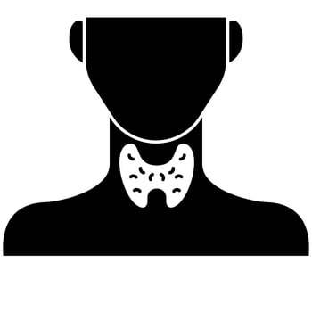 Hormonal Gland Icon vector