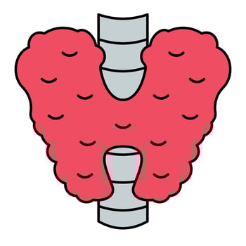 Thyroxine Hormone Icon vector