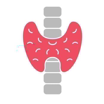Thyroid Scan Result Icon vector