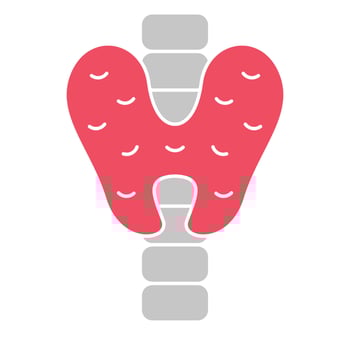 Goiter Detection Icon vector