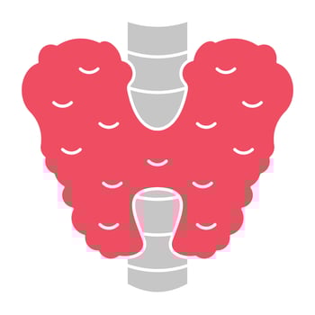 Thyroid Medication Icon vector