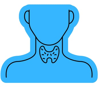 Thyroid Medical Report Icon vector
